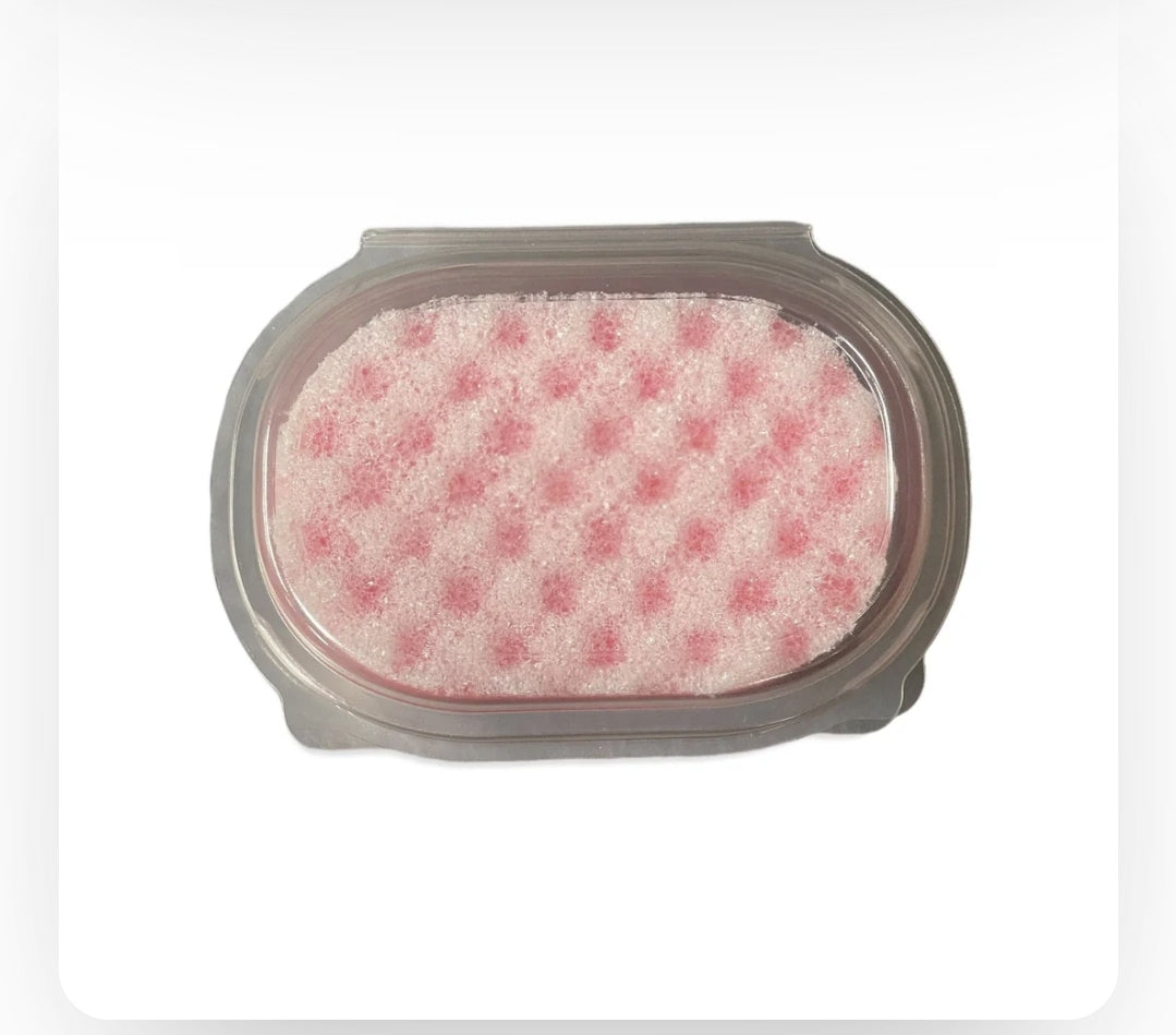 Sponge Clamshell